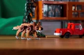 Lego Ideas 21354 thumbnail 7