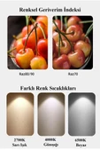Rutter RT-1190 7W E14 Mini Led Ampul Beyaz -6500K 3 Adet thumbnail 5