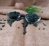 Menengiç Tane(1kg) thumbnail 4