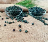 Menengiç Tane(1kg) thumbnail 6