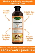Phytoflora Argan Yağlı (Botanik) Bitkisel Şampuan 400 ml thumbnail 2