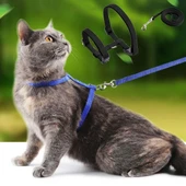 Kedi Tasması thumbnail 1