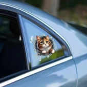 Fulcar Stray Araç Stickerı thumbnail 3