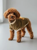 Minik Aslan Köpek Sweatshirt – Haki thumbnail 12