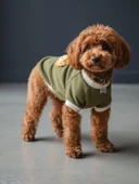 Minik Aslan Köpek Sweatshirt – Haki thumbnail 9