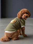 Minik Aslan Köpek Sweatshirt – Haki thumbnail 11