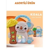 8808-C KOALALI PİYANO 8 Lİ BOX -CN thumbnail 2
