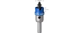 Bosch Expert Tct Elmas Uçlu Panç 22 mm thumbnail 2