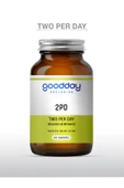 GOODDAY 2pd Two Per Day Multi Vitamin 60 Kapsül 29 Etken Madde thumbnail 1