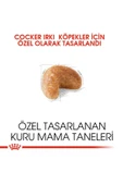 Cocker Kuru Köpek Maması 3kg thumbnail 8