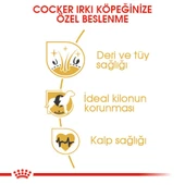 Cocker Kuru Köpek Maması 3kg thumbnail 4
