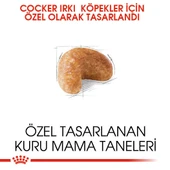 Cocker Kuru Köpek Maması 3kg thumbnail 6