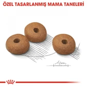 Mini Lightweight Kuru Köpek Maması 3kg thumbnail 4