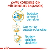 Cocker Yavru Köpek Maması 3kg thumbnail 4