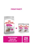 Mini Exigent 3 Kg + Exigent Loaf x 2 Adet thumbnail 1