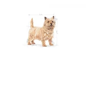 Mini Lightweight Kuru Köpek Maması 3kg thumbnail 3