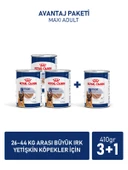 Maxi Adult Can 410 Gr thumbnail 1