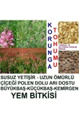 Kaliteli 2000 Adet Tavşan Yemi Korunga Tohumu thumbnail 2