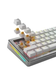 Glorious Panda Hall Effect Sessiz Mekanik Klavye Switch 36 Adet Outlet thumbnail 5