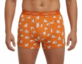 Silver Cat Desenli Erkek Boxer thumbnail 3