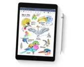APPLE İPAD 9.NESİL Wİ-Fİ 64GB 10.2" IOS thumbnail 1