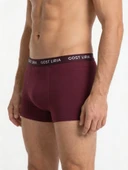 Calm Erkek Boxer Bordo thumbnail 4
