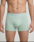 Celadon  Boxer Yeşil thumbnail 3