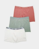 Lime Erkek Boxer – 3’lü Paket -Çok Renkli thumbnail 1