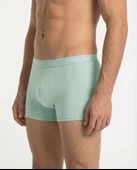 Celadon  Boxer Yeşil thumbnail 4
