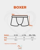 Stone Grey Erkek Boxer Taş Gri thumbnail 8