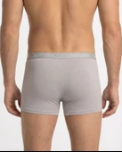 Stone Grey Erkek Boxer Taş Gri thumbnail 5
