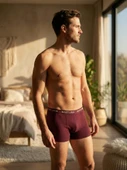Calm Erkek Boxer Bordo thumbnail 6