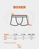 Spring  Erkek Boxer – 3’lü Paket -Çok Renkli thumbnail 8