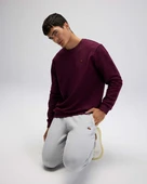 Ellesse Erkek Sweatshirt EM579 thumbnail 8