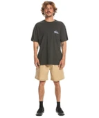 Quiksilver Take Us Back Logo Ss Erkek Tişört thumbnail 4