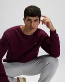 Ellesse Erkek Sweatshirt EM579 thumbnail 12