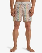 Billabong Vacay Lb Erkek Şort thumbnail 3