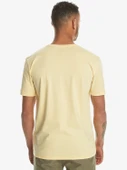 Quiksilver Mw Mini Logo Ss Erkek Tişört thumbnail 6
