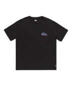 Quiksilver Take Us Back Logo Ss Erkek Tişört thumbnail 6