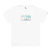 Quiksilver Ev Gradıent Box Ss Erkek T-Shirt thumbnail 5
