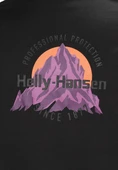 Helly Hansen Core Graphic Erkek T-Shirt 2.0 thumbnail 12