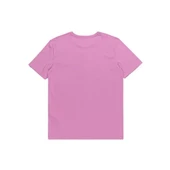 Quiksilver Mw Mini Logo Ss Erkek Tişört thumbnail 11