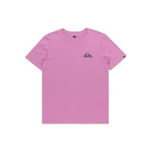 Quiksilver Mw Mini Logo Ss Erkek Tişört thumbnail 8