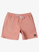 Quiksilver Everyday Solıd Volley 15 Erkek Şort thumbnail 5