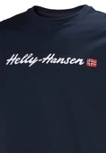Helly Hansen Core Graphic Erkek T-Shirt 2.0 thumbnail 7