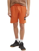 The North Face Box Nse Regular Erkek Şort thumbnail 1