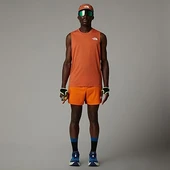 The North Face M Breeze Short 5In Erkek Şort thumbnail 1