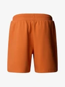 The North Face Box Nse Regular Erkek Şort thumbnail 4