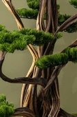 Yapay Lüx Bonsai Ağacı 200 cm 40 Dal thumbnail 3