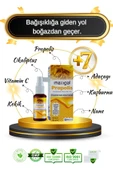 MAXİGAL Propolisli Ballı Boğaz Spreyi 30 ml thumbnail 7